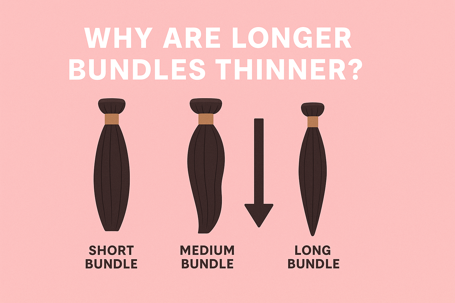 Why Are Longer Bundles Thinner?
